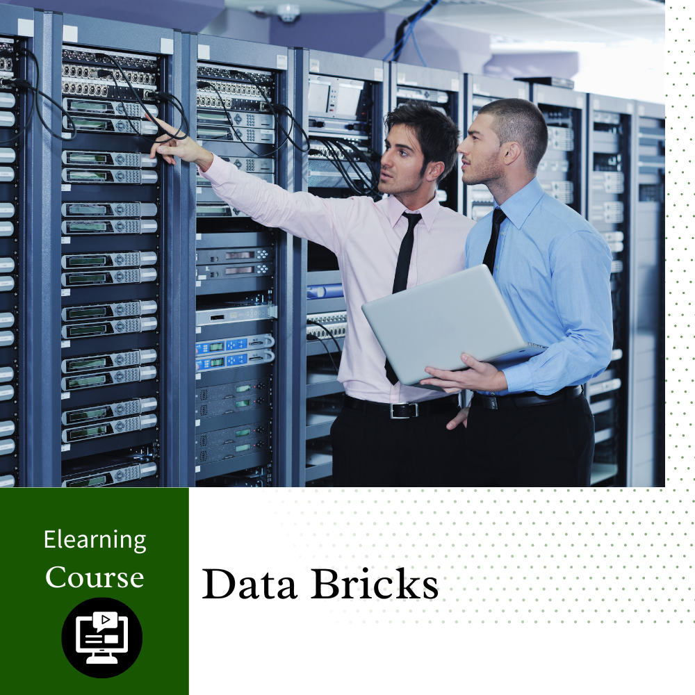 Data Bricks