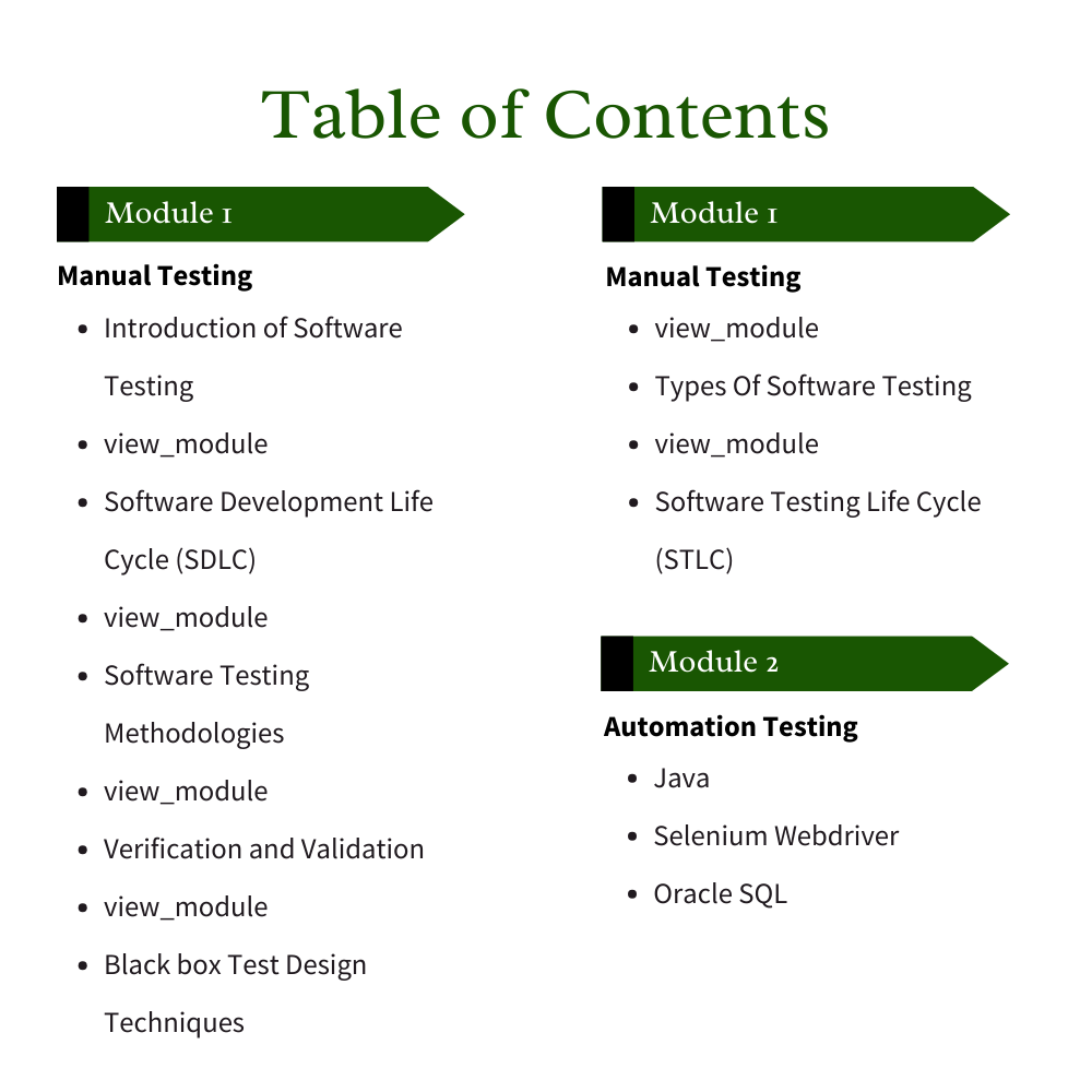 Software Testing