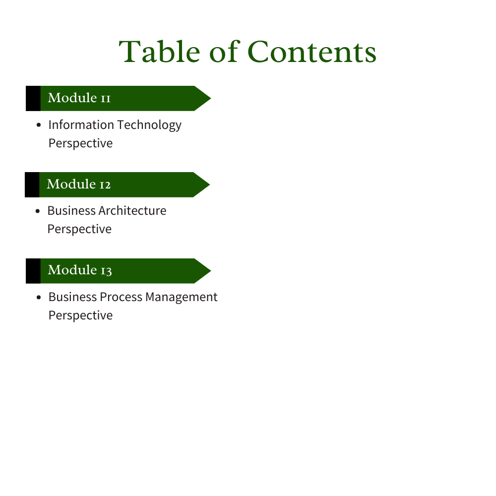 Certified Business Analysis Professional