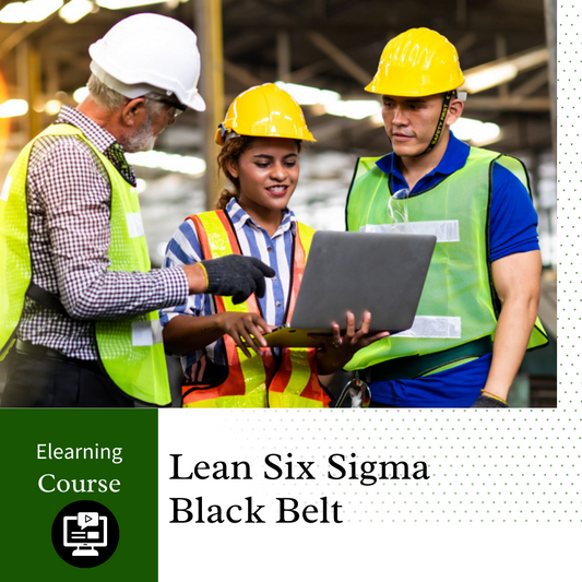 Lean Six Sigma Black Belt