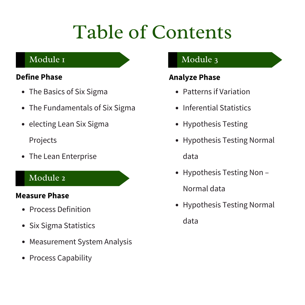 Lean Six Sigma Black Belt