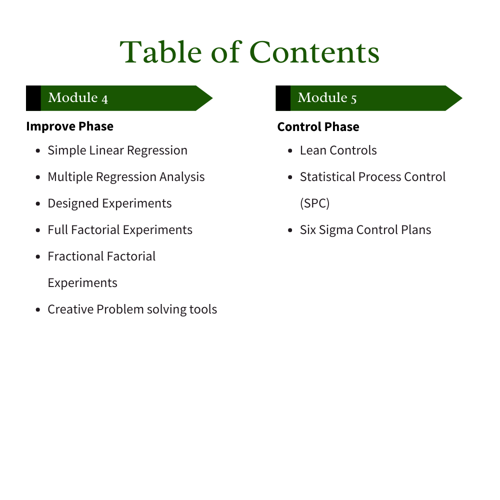 Lean Six Sigma Black Belt